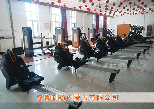 锐强体育为​齐鲁制药内蒙古分万搏体育-万搏| 万搏官方网站打造健身房